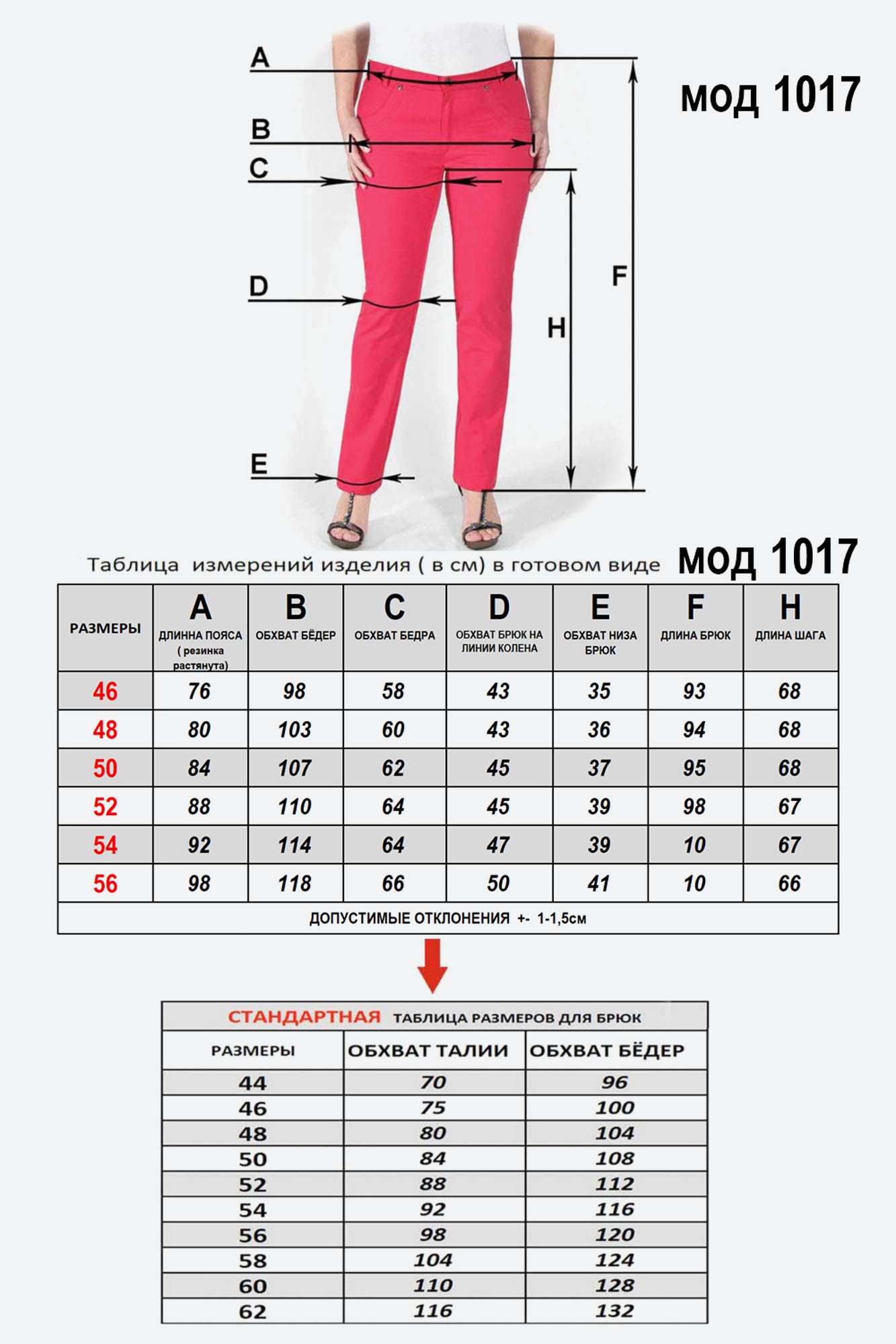1017-sizes.jpg